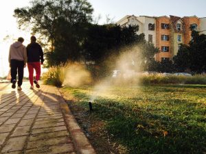 Condo Irrigation
