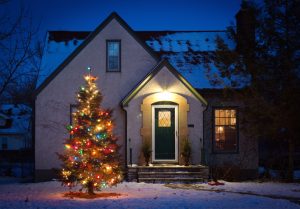 christmas lights installer