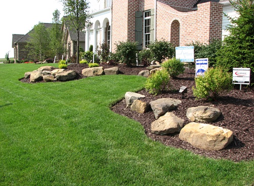 landscaping ideas