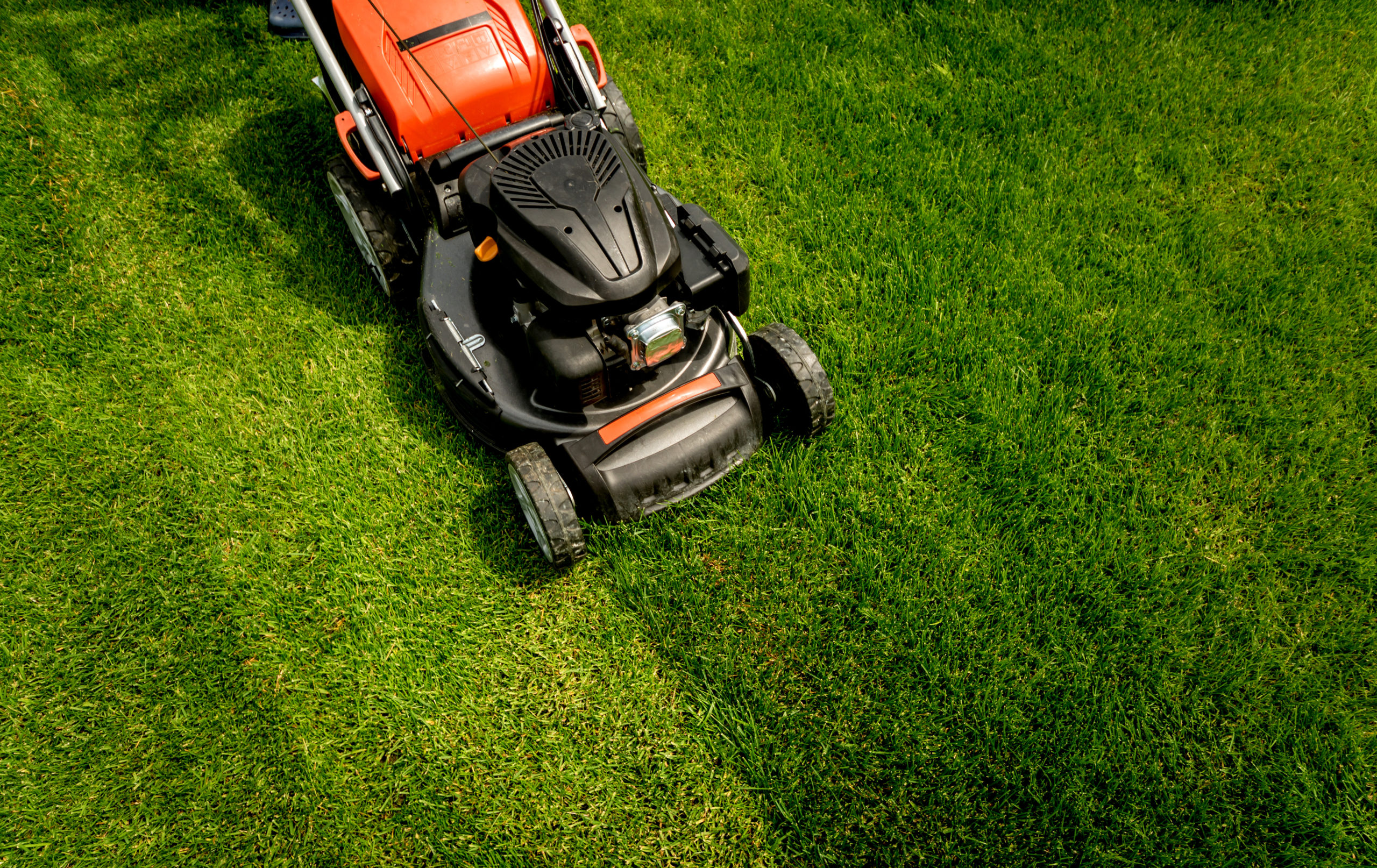 Mow the lawn. Lawnmower.