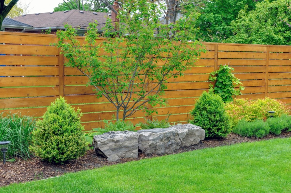 Fence line Landscaping Ideas - Mountview Services