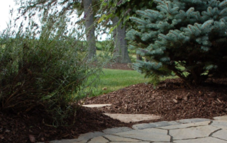 mulch in a garden on a property