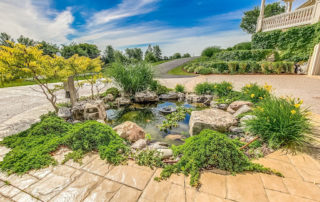 outdoor pond in a yard