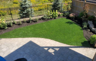 pet friendly backyard landscape