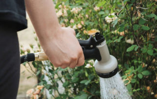 a hand holding a hose watering the garden