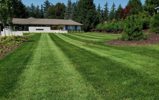 beautiful lawn setting on a property